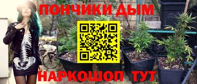 прущие грибы Рузаевка