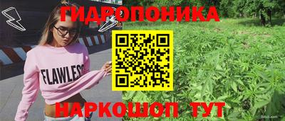 прущие грибы Рузаевка